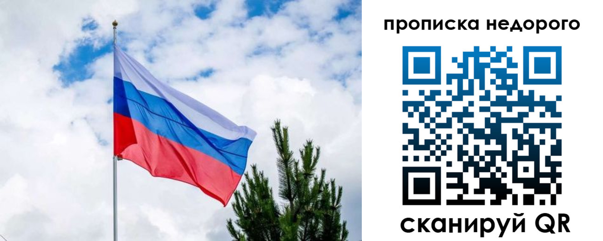 прописка ребенка в Выборге